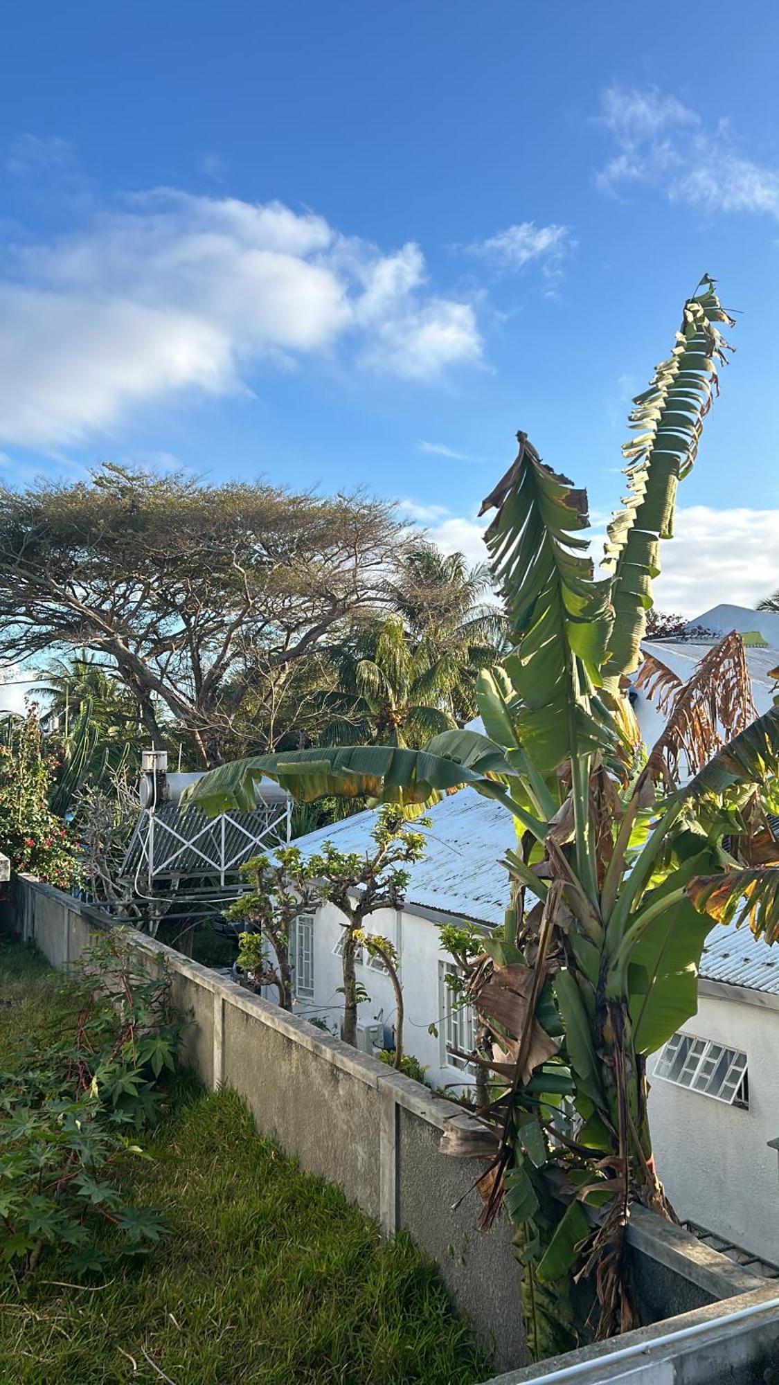 Coastal View Apartments Grand Baie Exteriör bild